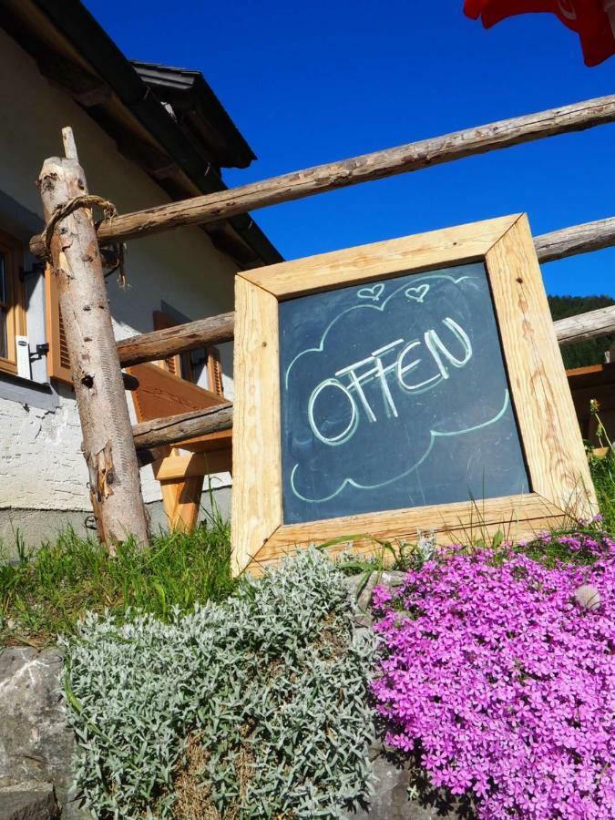 Hostel Zickerreith Almhutte Rosenau am Hengstpass Exteriér fotografie