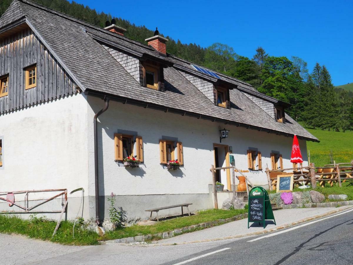 Hostel Zickerreith Almhutte Rosenau am Hengstpass Exteriér fotografie