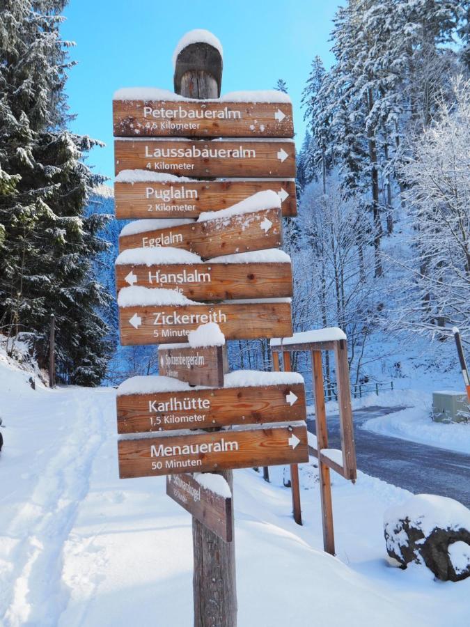 Hostel Zickerreith Almhutte Rosenau am Hengstpass Exteriér fotografie