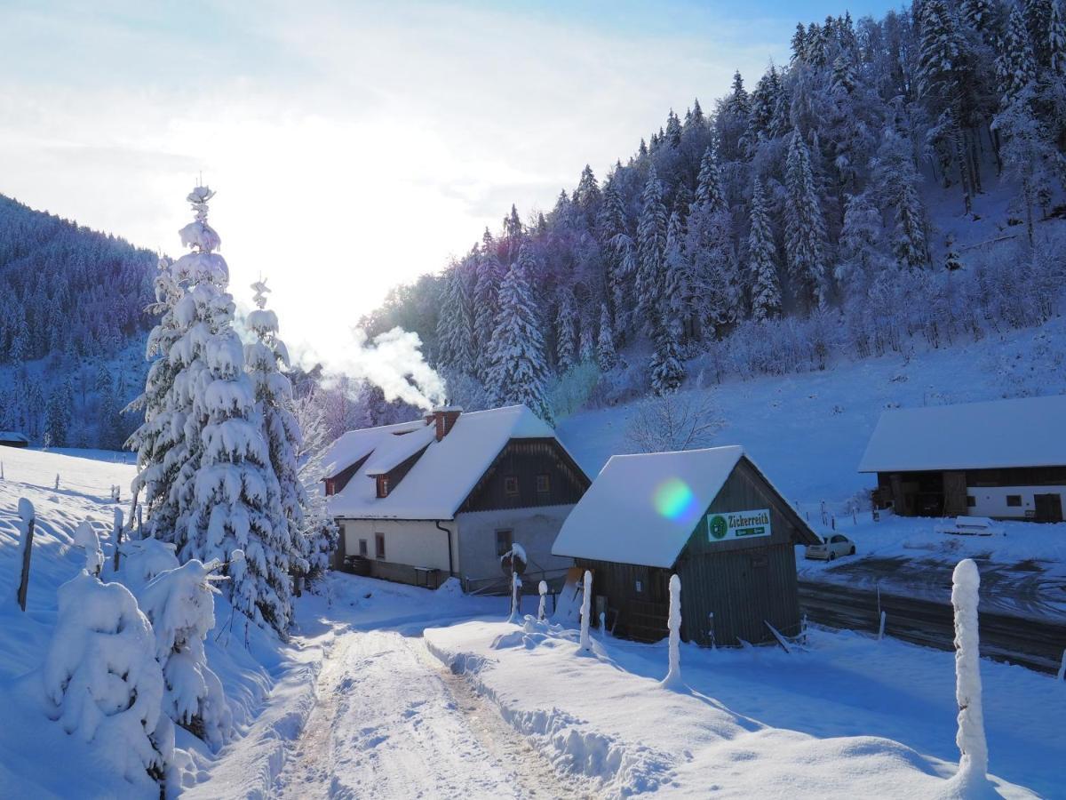 Hostel Zickerreith Almhutte Rosenau am Hengstpass Exteriér fotografie