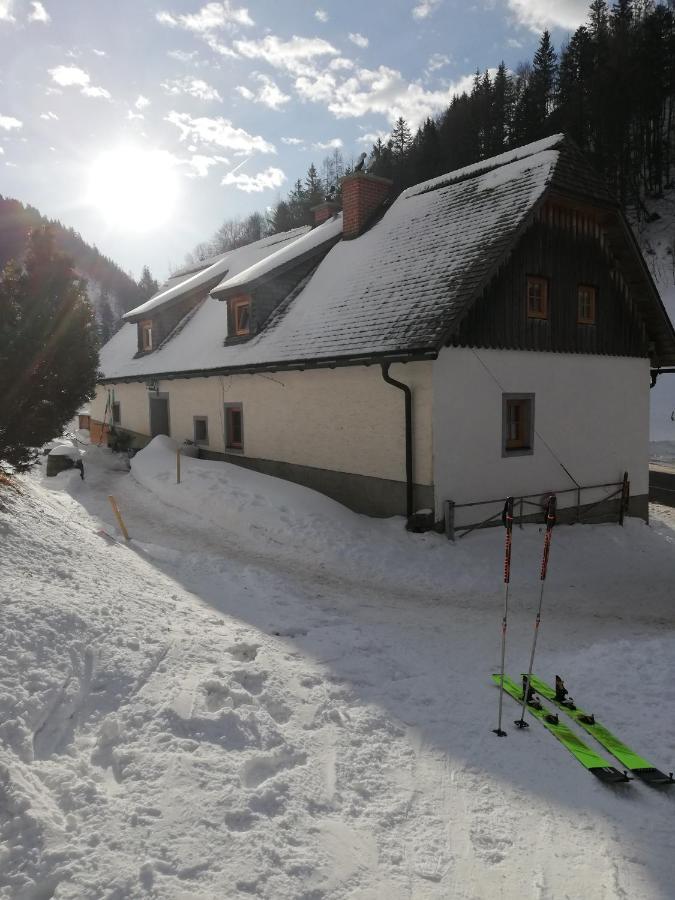 Hostel Zickerreith Almhutte Rosenau am Hengstpass Exteriér fotografie